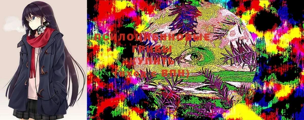 герыч Нея