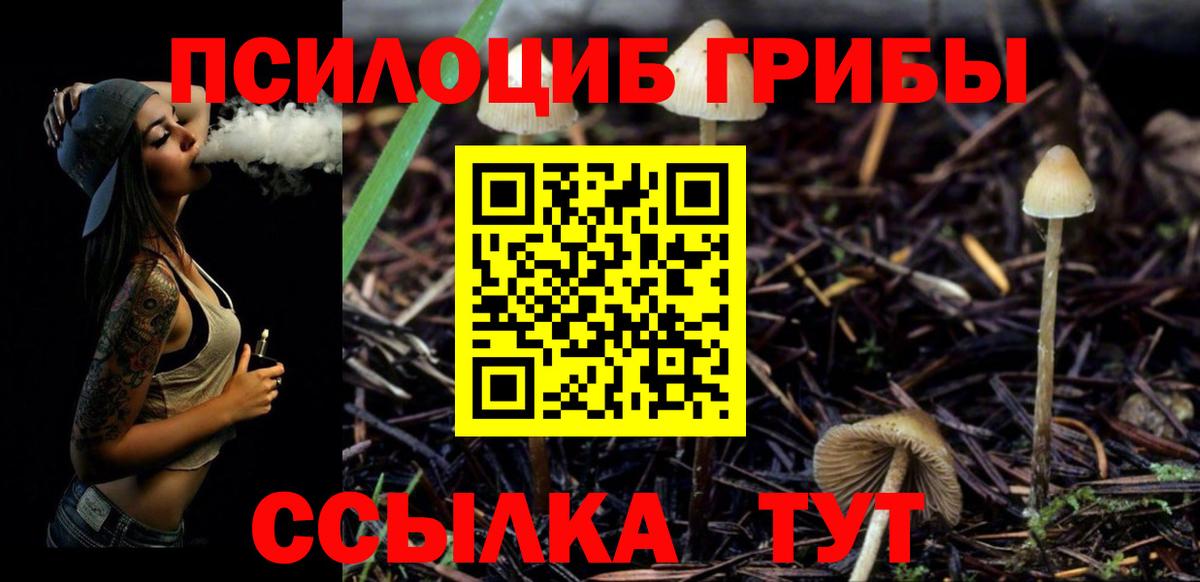 Галлюциногенные грибы ЛСД Сыктывкар
