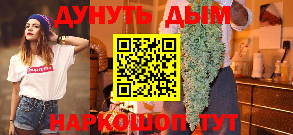 Бошки Шишки планчик Сыктывкар